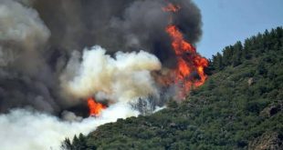 Marmaris'te çıkan orman yangını sonucu 1 görevli hayatını kaybetti!