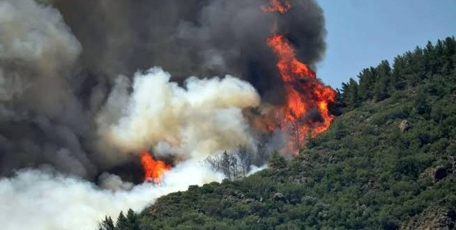 Marmaris'te çıkan orman yangını sonucu 1 görevli hayatını kaybetti!