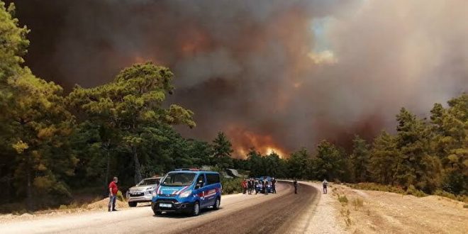 Manavgat'ta 4 farklı noktada çıkan orman yangını ilçe merkezine sıçradı