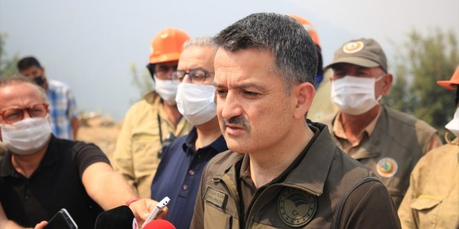 Mersin ve Hatay'da orman yangınları: 4 kişi gözaltında