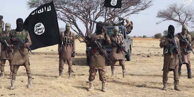 Nijerya Ordusundan Boko Haram'a operasyon!