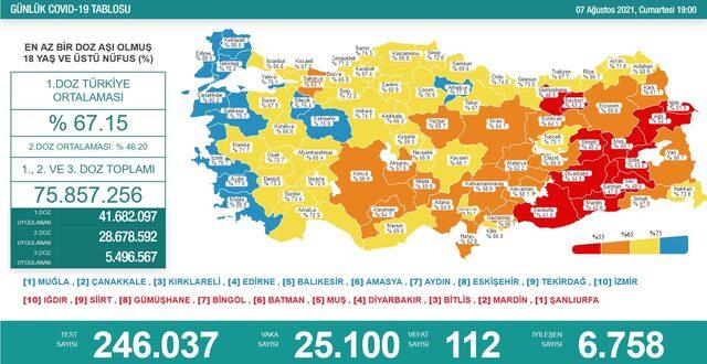 7 Ağustos Türkiye koronavirüs tablosu