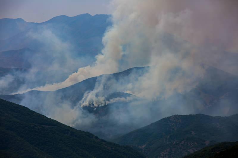 Tunceli'de PKK operasyonuna yangın engeli