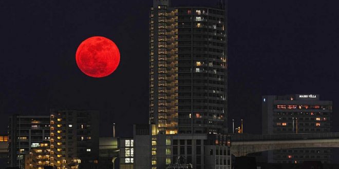 Japonya Ay'da gıda üretimi için araştırmalara başlıyor