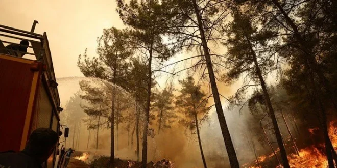 Marmaris'te itfaiye aracı kaza yaptı