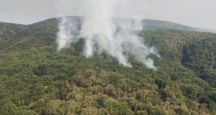 OGM'den Tunceli'deki orman yangını için açıklama