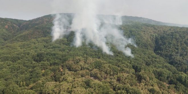 OGM'den Tunceli'deki orman yangını için açıklama