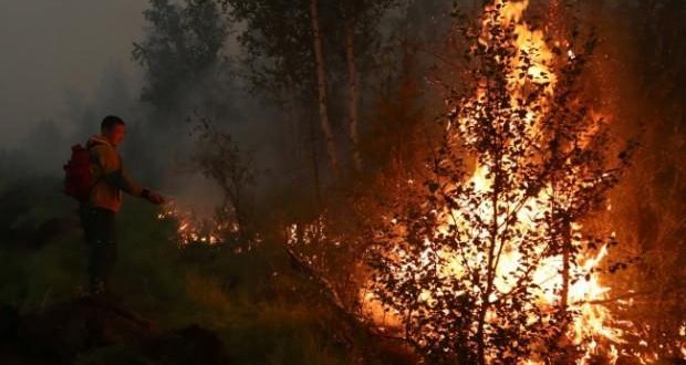 Rusya'da orman yangınları: 1 milyon hektarı geçti