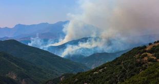 Tunceli'de PKK operasyonuna yangın engeli