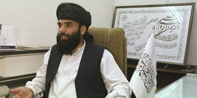 Taliban Sözcüsü: Türkiye’ye ihtiyacımız var