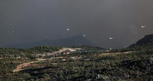 Türkiye'deki orman yangınlarına 6 ülkeden hava desteği geldi