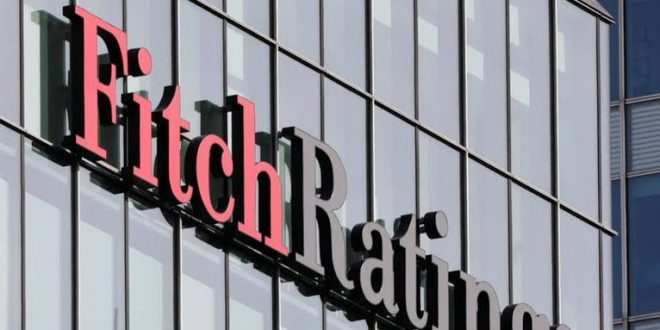 Fitch'ten dolarizasyon açıklaması!