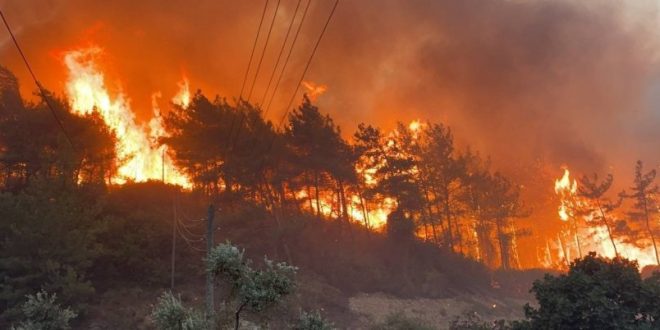 Muğla'da iki noktada orman yangını