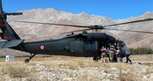 Tunceli'de ayı çobana saldırdı! Askeri helikopter yetişti