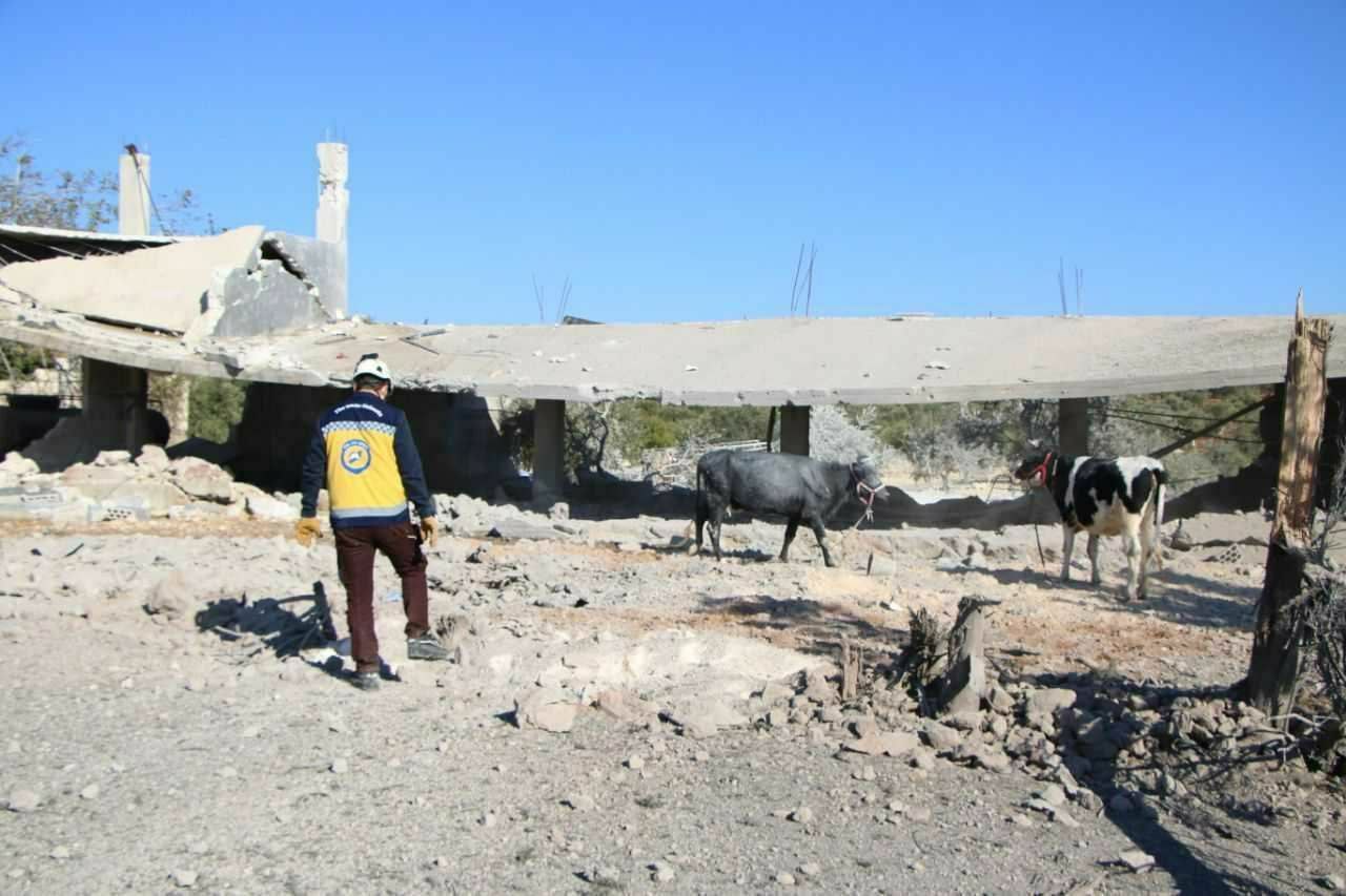 Bu nasıl canilik: Hiç bir canlıya yaşam hakkı tanımıyorlar