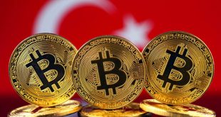 Türkiye'de kaç kripto para yatırımcısı var?