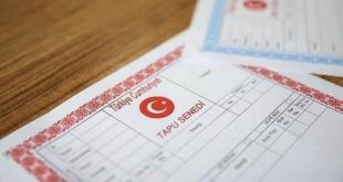 Arsa, tarla ve iş yeri satışları 2021'de tüm zamanların rekorunu kırdı