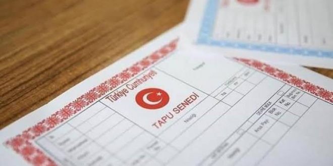 Arsa, tarla ve iş yeri satışları 2021'de tüm zamanların rekorunu kırdı