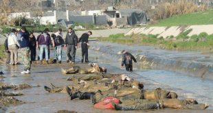 Halep 'Kuveyk Nehri' katliamının 9'uncu yılı