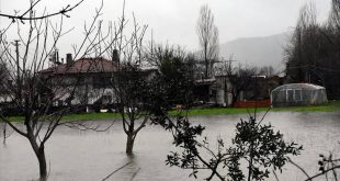 Muğla'da şiddetli yağış nedeniyle su baskınları yaşandı