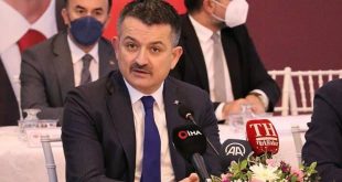 Bakan Pakdemirli: Türkiye'de gıdada arz problemi yoktur