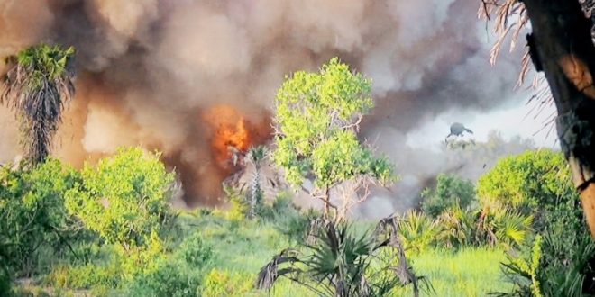 Somali'de Eş Şebab'tan eş zamanlı saldırılar