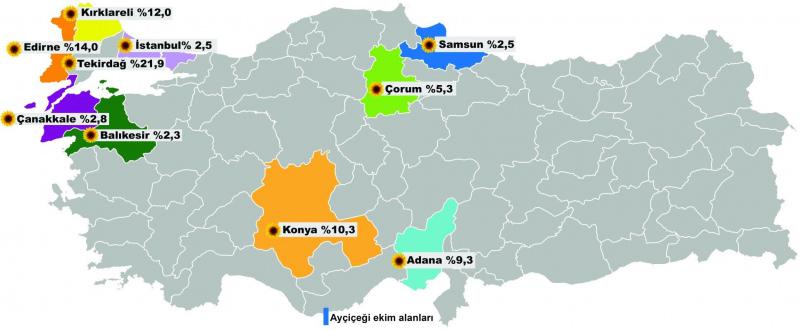 Ayçiçeği üretimini artırmak için destek adımı