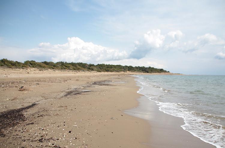 Antalya'nın kıyılarında deniz suyu çekildi