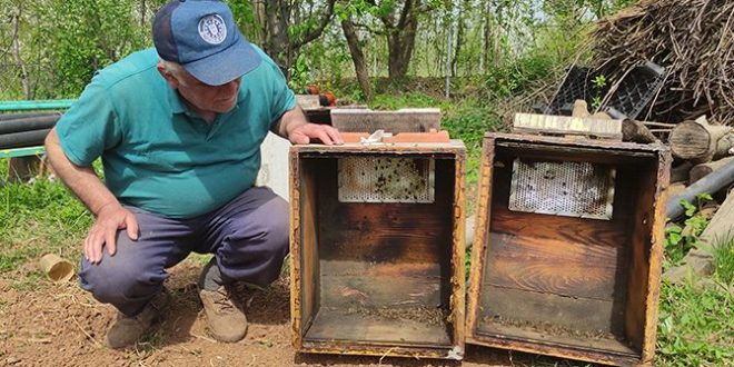 Bursa'da yüzlerce kovan arı 2 gün içinde telef oldu