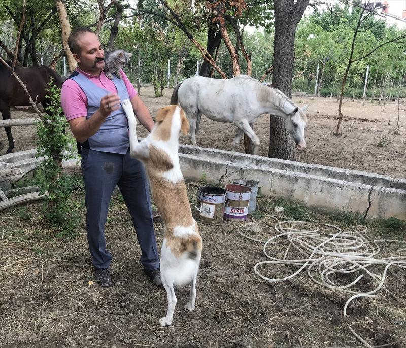 Ünlü doktor atlarına bakan uzman çavuşun saldırısına uğradı!