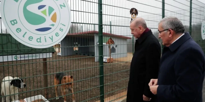 Cumhurbaşkanı Erdoğan'dan Belediye Başkanlarına 'sokak köpekleri' uyarısı!