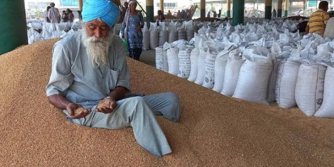 Hindistan, buğday ihracatını kısmen yasakladı