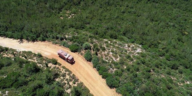 İzmir'de bazı ormanlara girişler yasaklandı