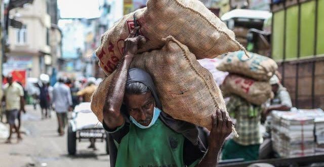 Kıtlığın eşiğindeki Sri Lanka'da memurlar arka bahçelerinde ürün yetiştirecek