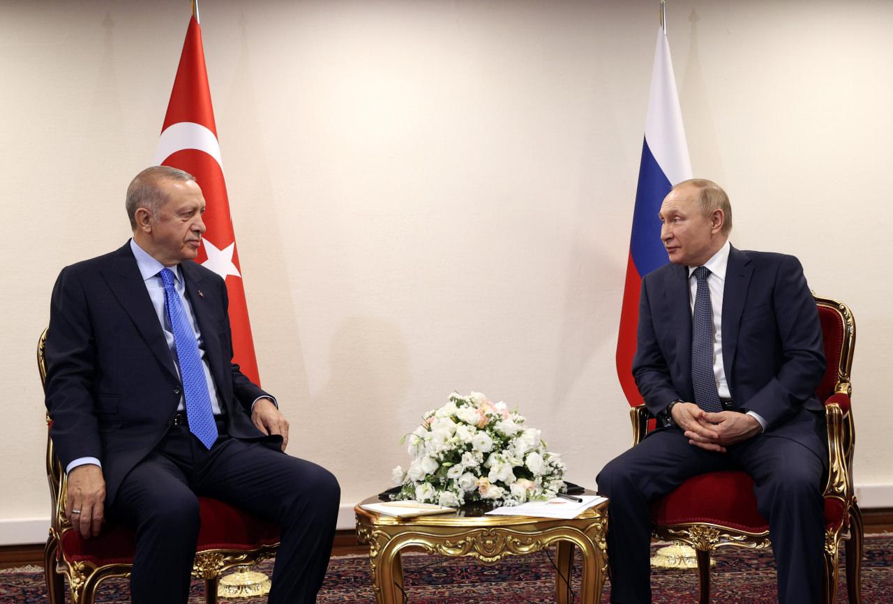 Erdoğan ve Putin görüşmesi ABD basınında