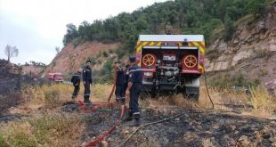 Cezayir'de orman yangınları sönmüyor: 41 ölü