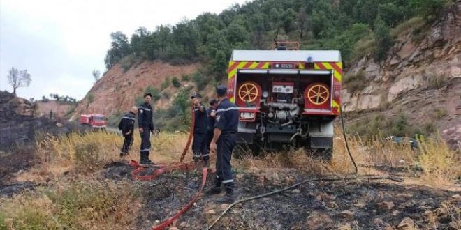 Cezayir'de orman yangınları sönmüyor: 41 ölü