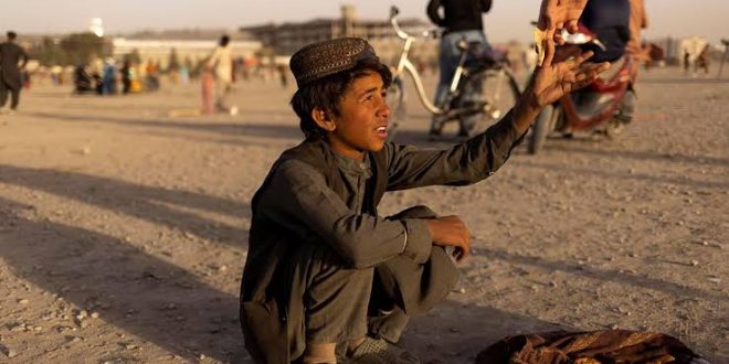 Afganistan'da dilencilere istihdam