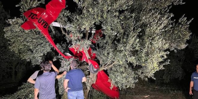 Bursa'da hava aracı zeytinliğe düştü