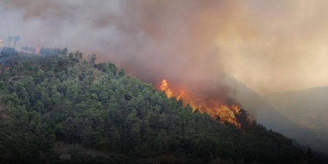 Kazakistan'da köylere sıçrayan orman yangını nedeniyle binlerce kişi tahliye ediliyor!