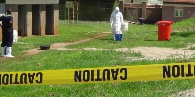 Uganda'da Ebola virüsü yayılıyor