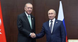 Erdoğan'la görüşen Putin: "Türkiye'yi en büyük gaz merkezi yapma niyetimizi bildirdik"