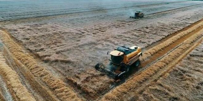 Dünyada gıda yardımına muhtaç ülke sayısı 45'e yükseldi