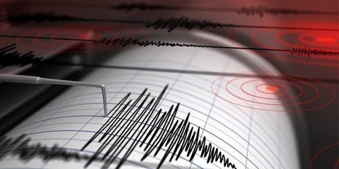 Muğla'da deprem! Köyceğiz kaymakamı açıklama yaptı!