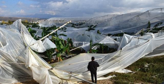 Antalya'da fırtına ve sağanak muz seralarını vurdu!