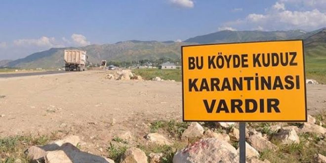 Kedide kuduz çıktı, 2 mahalle karantinaya alındı!