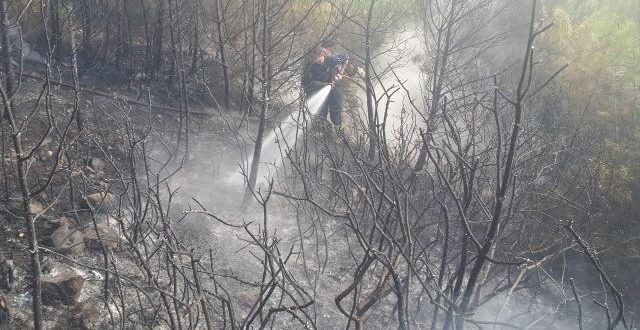 Muğla'da ormanlık alanda yangın çıktı