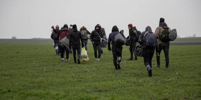 Sırbistan, Macaristan sınırında 600 göçmeni gözaltına aldı