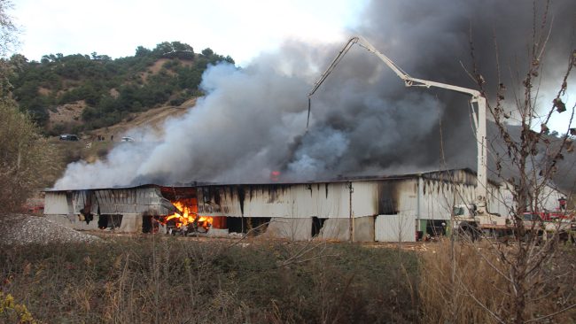 Amasya'da sunta fabrikasında yangın