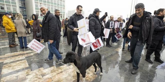 Ankara’da başıboş sokak köpeği protestosu